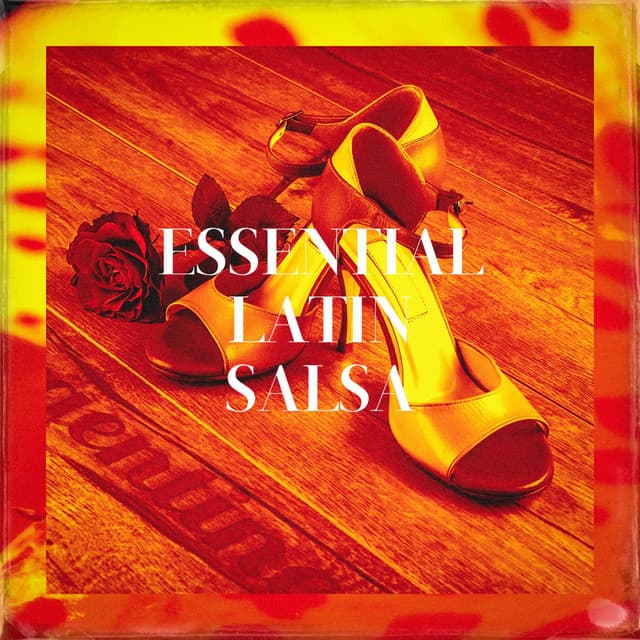 Essential Latin Salsa - Reggaeton Latino Band