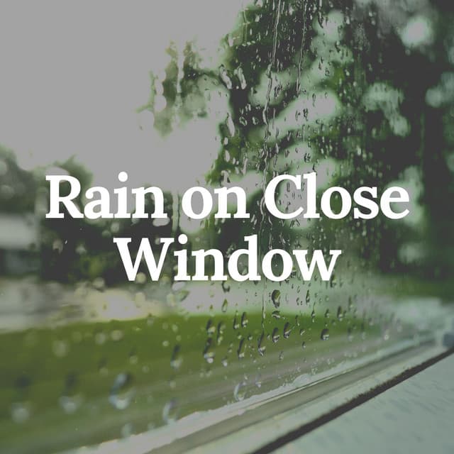 Rain on Close Window - Relaxing Rain Sounds