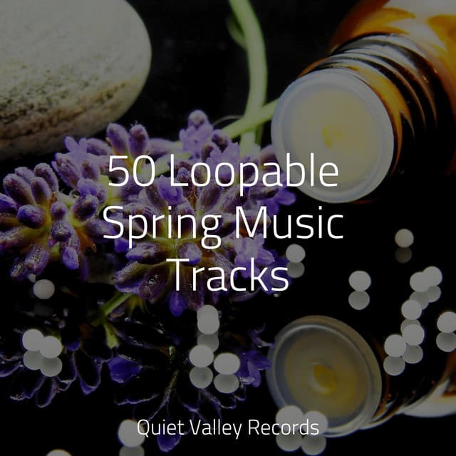 50 Loopable Spring Music Tracks - Asian Zen Spa Music Meditation
