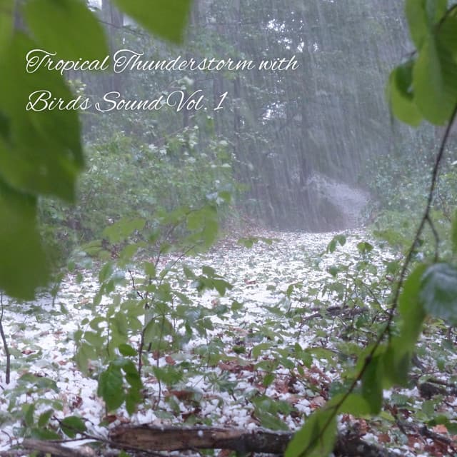 Tropical Thunderstorm with Birds Sound Vol. 1 - Sleep Doggie