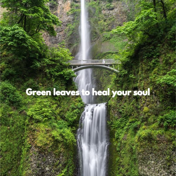 Green leaves to heal your soul - Work Music