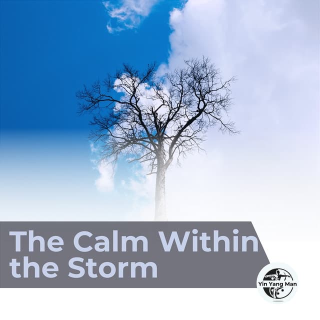 The Calm Within the Storm - Yin Yang Man