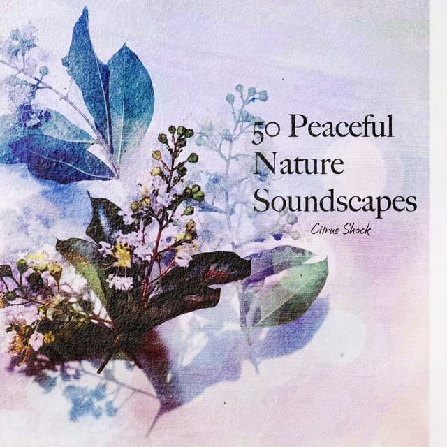 50 Peaceful Nature Soundscapes - Citrus Shock