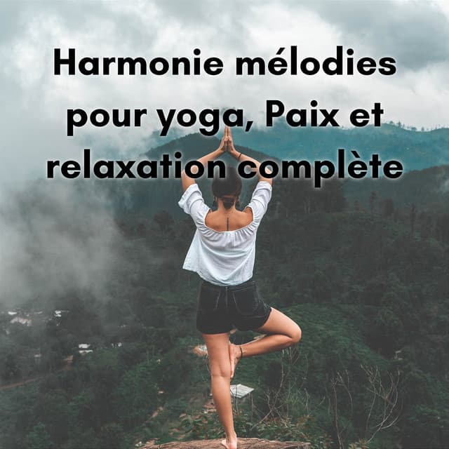 Harmonie mélodies pour yoga, Paix et relaxation complète - New Age Musique Zen