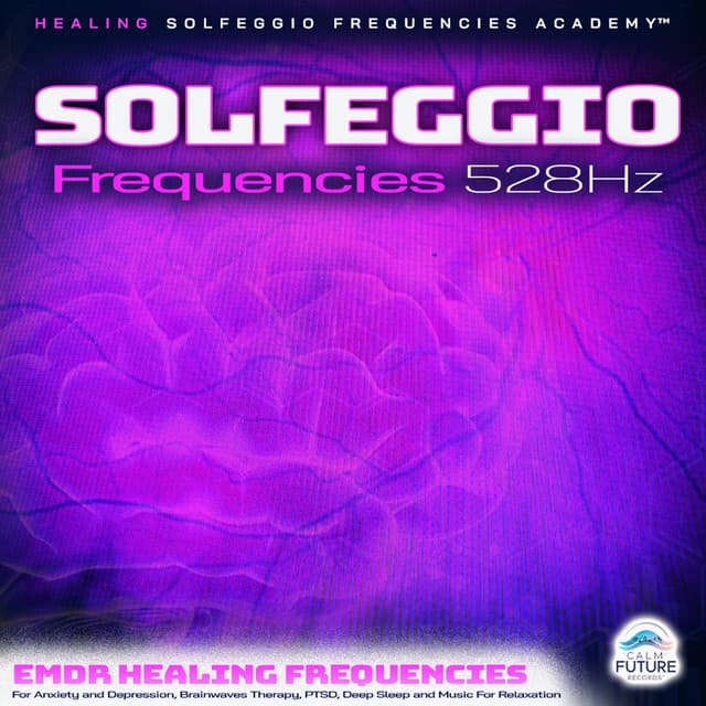 Healing Solfeggio Frequencies Academy