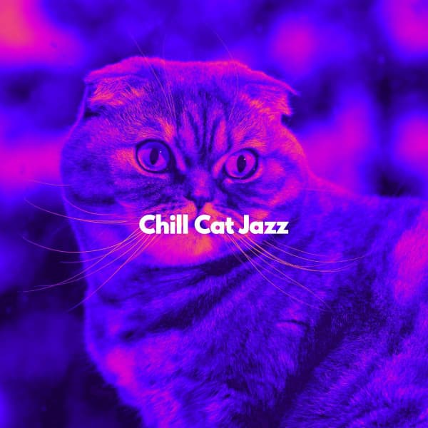 Chill Cat Jazz - Música de Trabajo Clasico