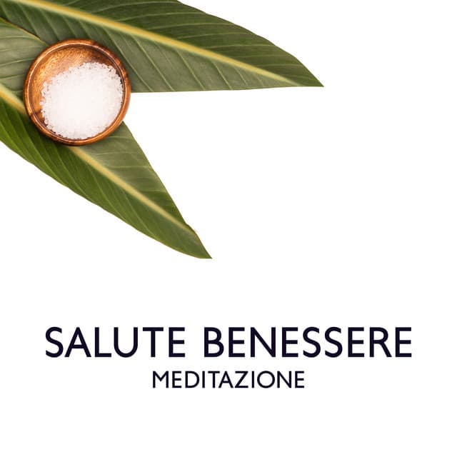 Salute benessere meditazione: Spa tempo di relax, Musica per massoterapia - Relax musica new age club