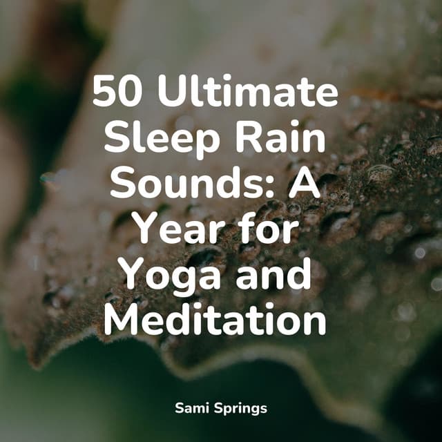 50 Ultimate Sleep Rain Sounds: A Year for Yoga and Meditation - Ambient Rain