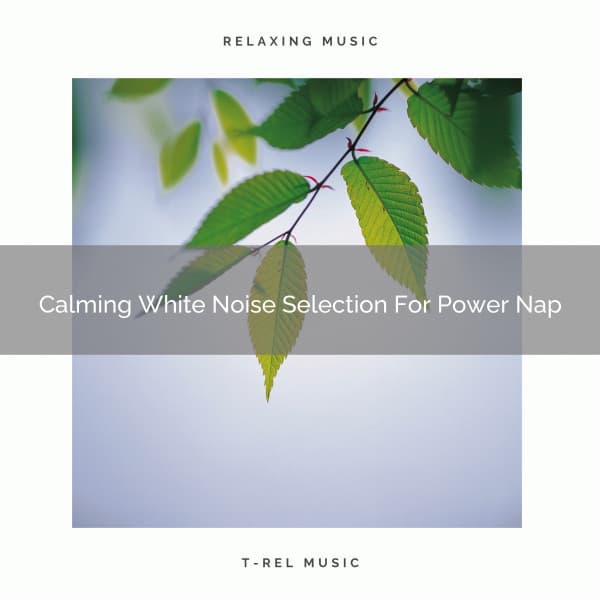Calming White Noise Selection For Power Nap - Ocean Waves For Sleep