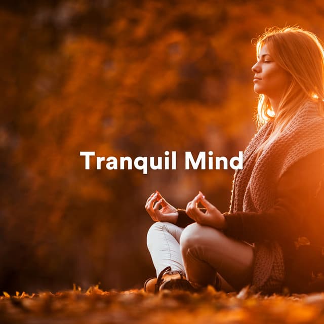 Tranquil Mind - Reiki Healing Consort