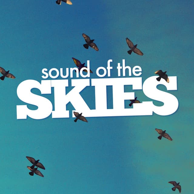 Sound of the Skies - Bird Sounds