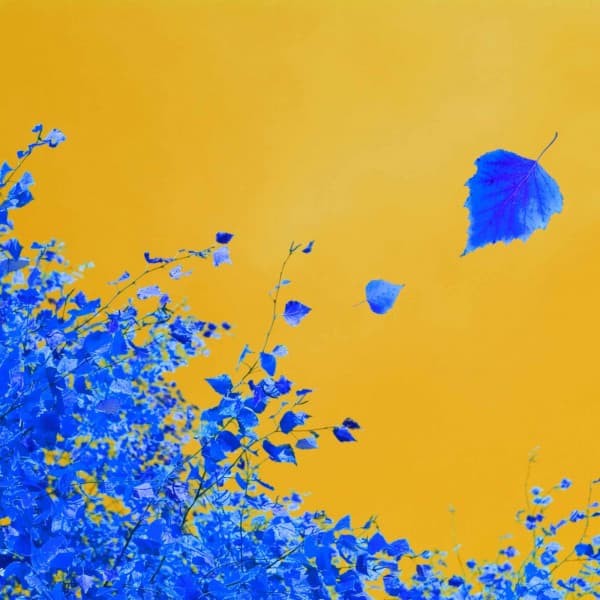 Music for Studying Legends - Piano Duo - Harlem Jazz Guitar Quartet