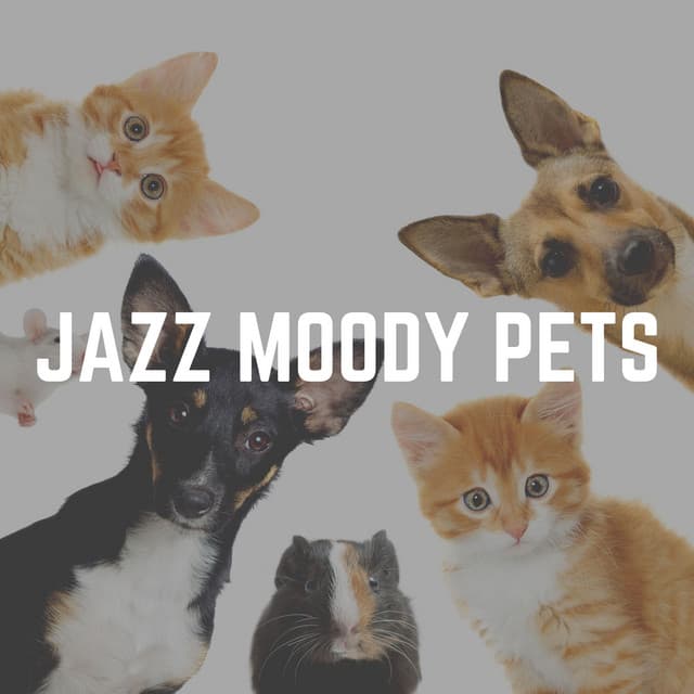 Jazz Moody Pets - Jazz Music Therapy for Cats
