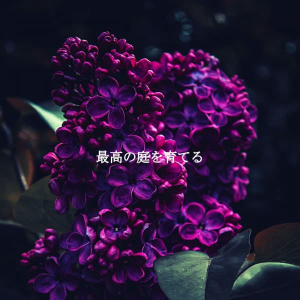 Instrumental Jazz Music Ambiental