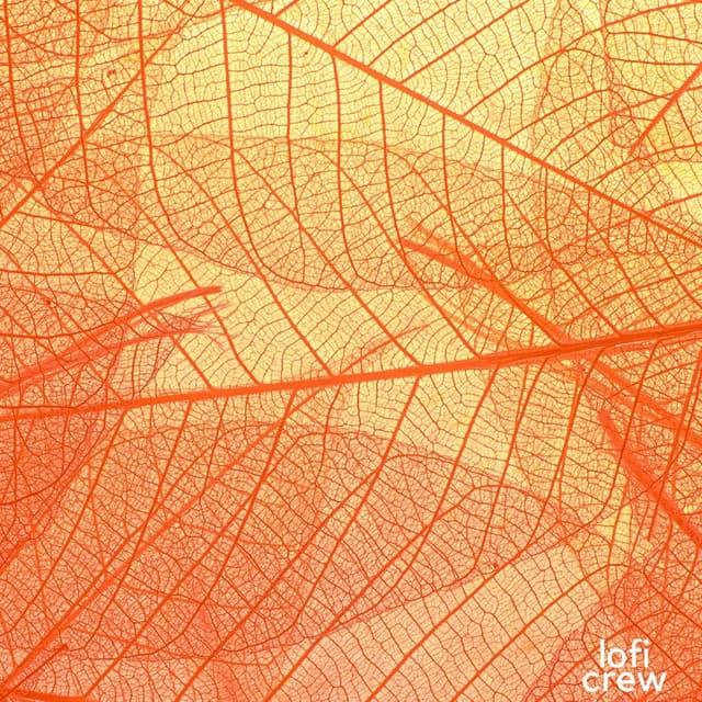 Smooth Lofi For Being Focused - Study Time