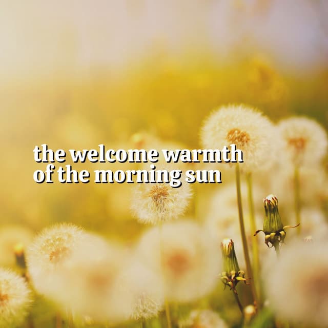 The Welcome Warmth of the Morning Sun - Natural Sound Makers