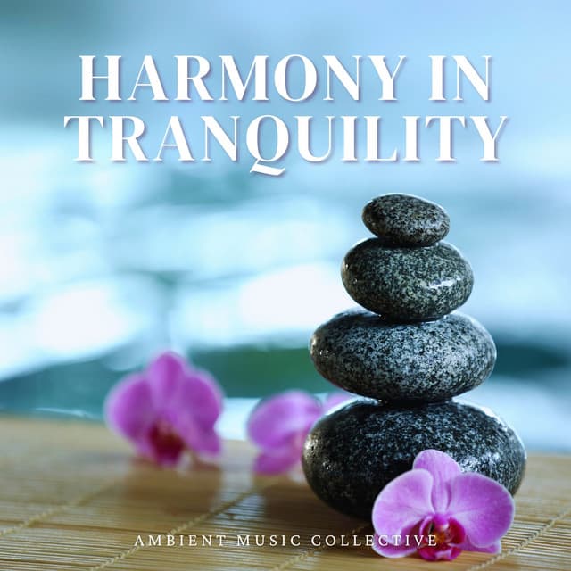 Harmony in Tranquility: Calming Spa Melodies - Ambient Music Collective