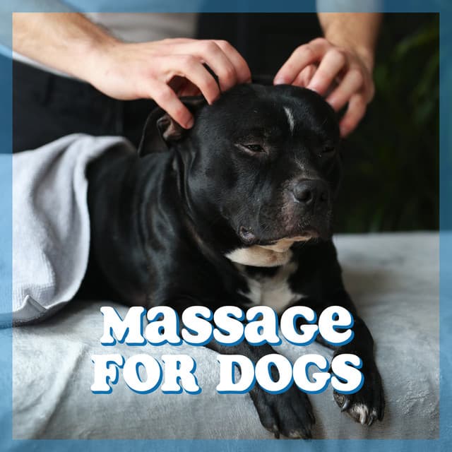 Massage for Dogs: Dog Spa Therapy, Dog Relaxation, Treatment for Dog Anxiety & Stress - Pets Lover Artist