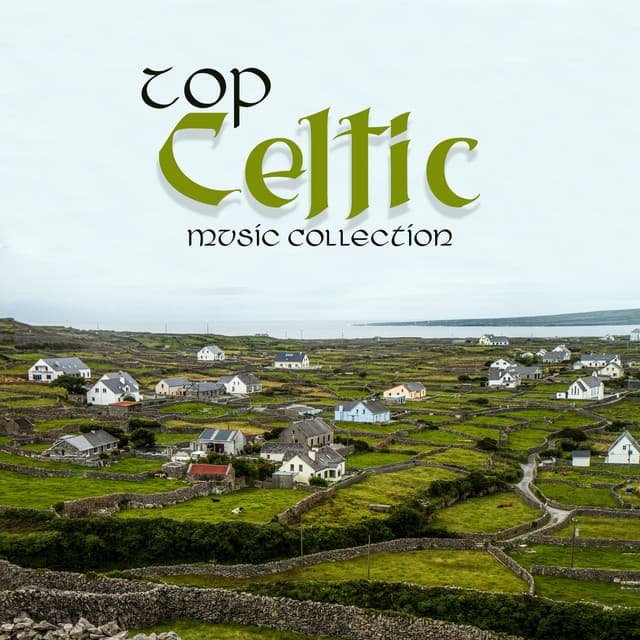 Top Celtic Music Collection - Mitch Lerunesh