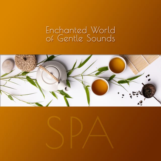 Enchanted World of Gentle Sounds – SPA: 30 Tracks for Your Wellbeing, Inner Stillness, Calm Delight - Spa Massage Solution
