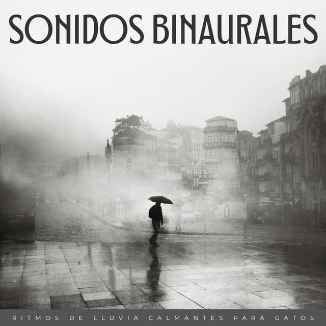 Sonidos Binaurales: Ritmos De Lluvia Calmantes Para Gatos - Frecuencias Binaurales