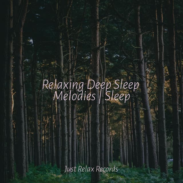 Relaxing Deep Sleep Melodies | Sleep - Calming Sounds