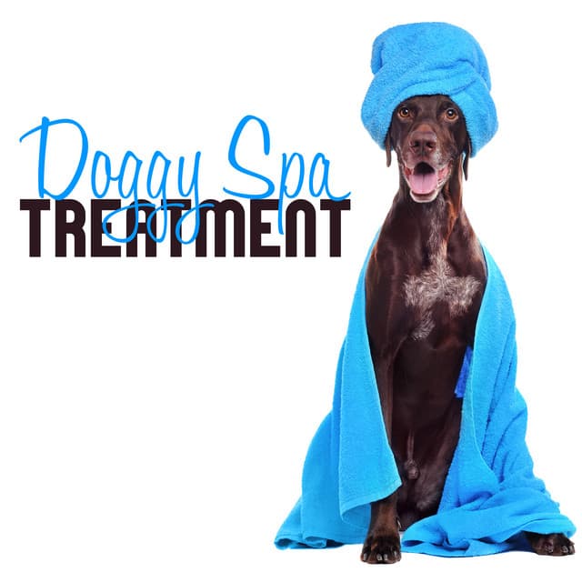 Doggy Spa Treatment: Relaxation Music for Dog Wellness - Pets Music