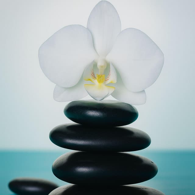 Moment of Calm in Difficult Times - Jasmine Soft