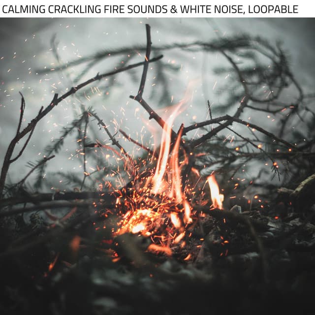 Calming Crackling Fire Sounds & White Noise, Loopable - Fire Sounds