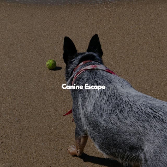 Canine Escape - Música para Cafeterías