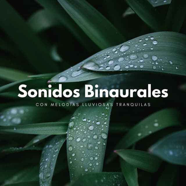 Sonidos Binaurales Con Melodías Lluviosas Tranquilas - Grabaciones binaurales ritmos