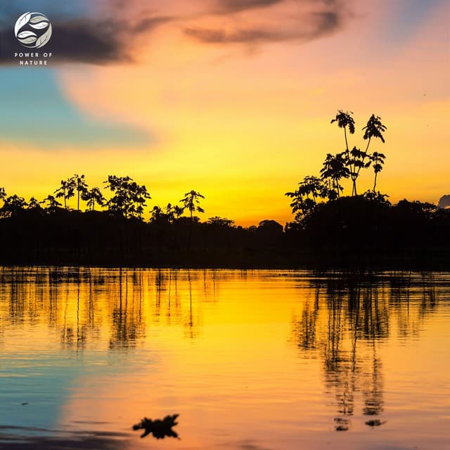 Amazonian Aura - Mother Nature Ambience
