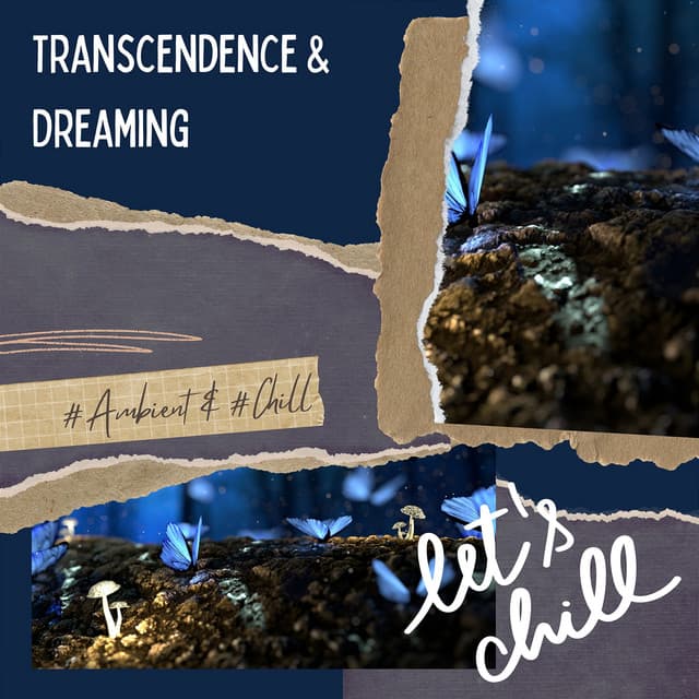 Transcendence & Dreaming - Ambient 11, Serenity Calls