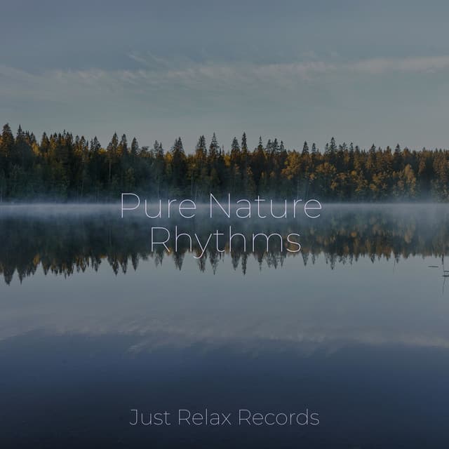 Pure Nature Rhythms - Lullabies for Deep Meditation