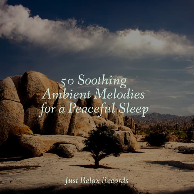 50 Soothing Ambient Melodies for a Peaceful Sleep - Calming Sounds