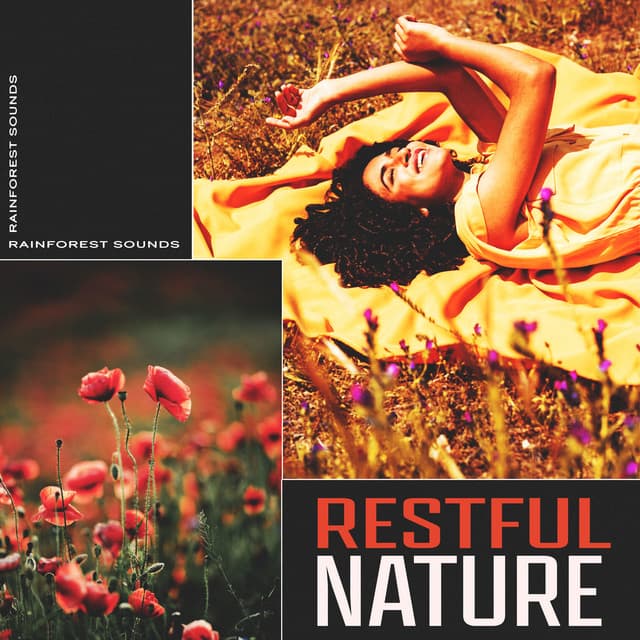 Restful Nature - Rainforest Sounds