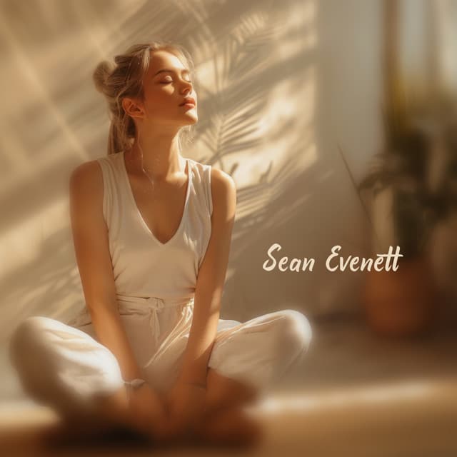 Sunlit Reflection Pause - Sean Evenett