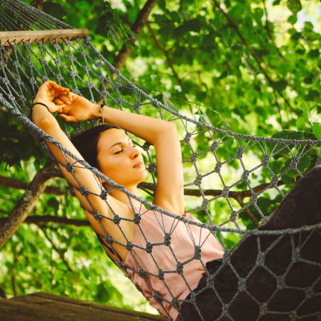 Nature at Rest: Wind's Serene Relaxation Amidst the Forest - Animal and Bird Songs