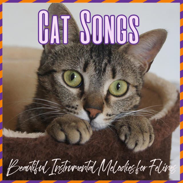 Cat Songs - Beautiful Instrumental Melodies for Felines - Cat Music Zone