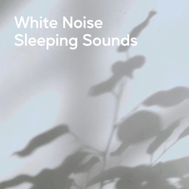 White Noise Sleeping Sounds - Noises Of Ambience