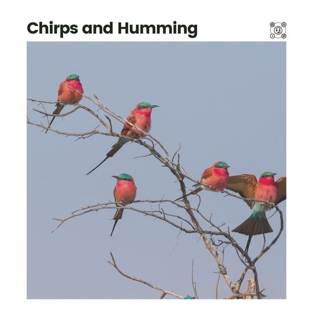 Chirps and Humming - Swedish Forest Birds