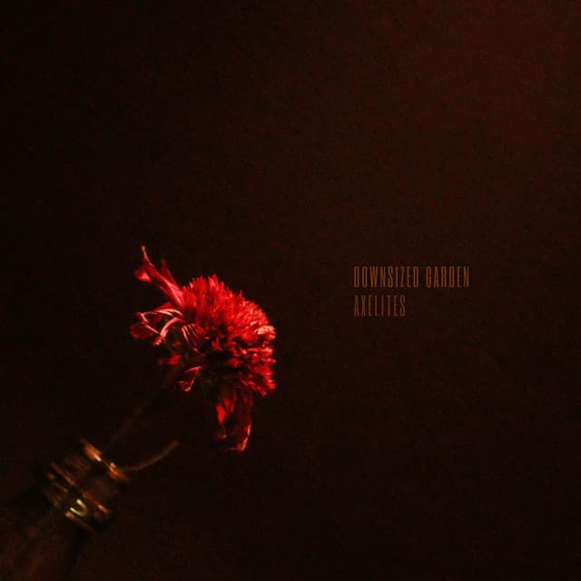 Downsized Garden - Axelites