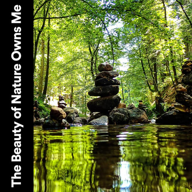 The Beauty of Nature Owns Me - Soft Soundscapes