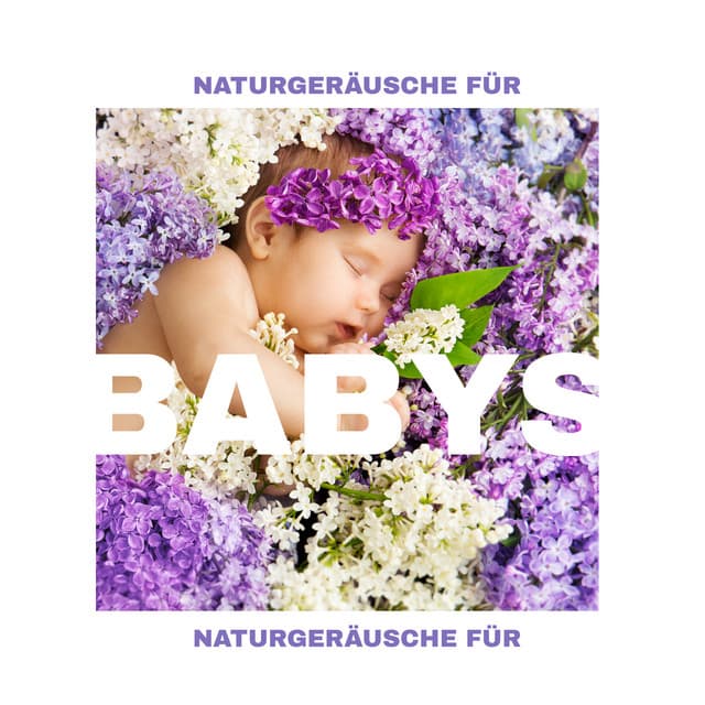 Naturgeräusche für Babys - Beruhigende Schlaflieder bei Nacht, Naturmusik für Kinder - Ruhigen Schlaf Akademie