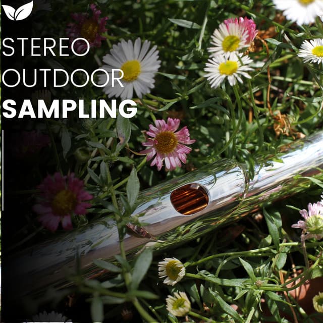 Elemental Soundscapes High Res Outdoor Recording - rainstantly