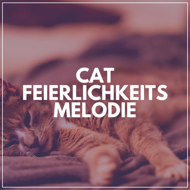 Cat Feierlichkeitsmelodie - Katzenmusik