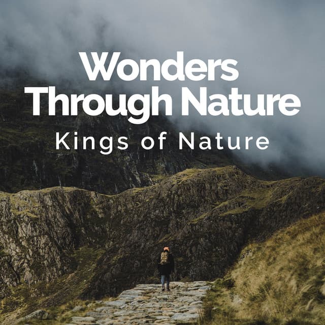 Wonders Through Nature - Kings of Nature