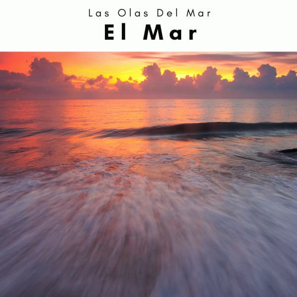 2022 El Mar - Las Olas Del Mar