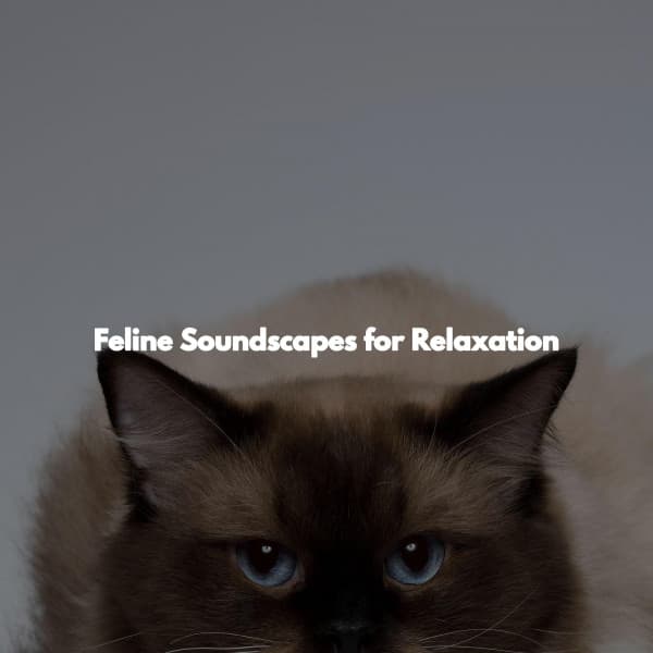 Feline Soundscapes for Relaxation - Musica para Restaurantes Ambiente
