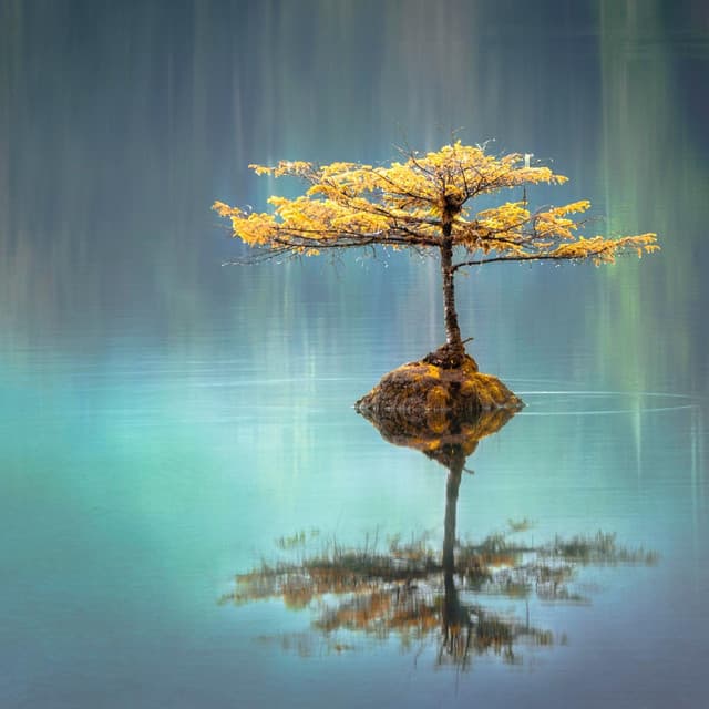 Meditation Hour - Positive Music